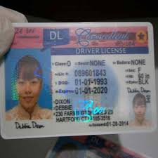 eu driving license in usa