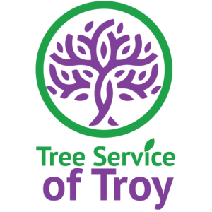 Tree Surgeon Essex – The Best Choice For Professional Arbor Care