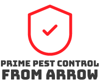 A Comprehensive Guide to Pest Control